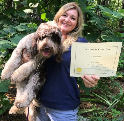AKC - American Kennel Club Certification - Bella Goldendoodles